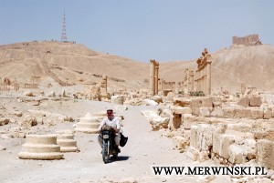 palmyra-02