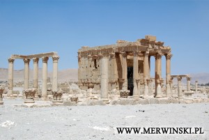 palmyra-03