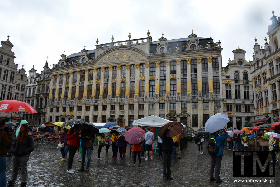 Deszcz na Grand Place w Brukseli, czyli zwiedzanie Brukseli nawet bez pogody