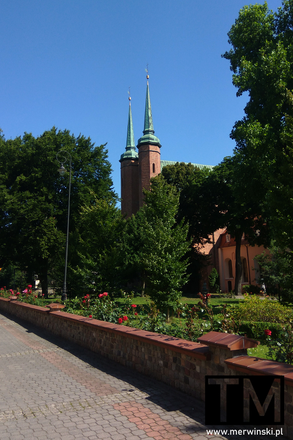 Widok na Archikatedrę w Oliwie (Gdańsk)