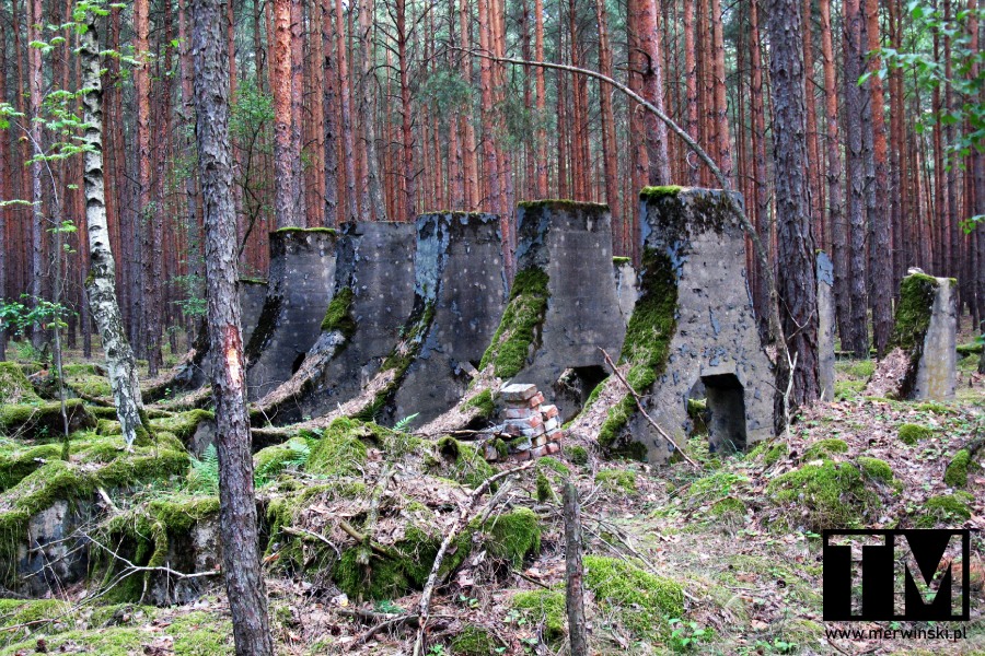 Fragmenty zabudowań fabryki dynamitu w lesie