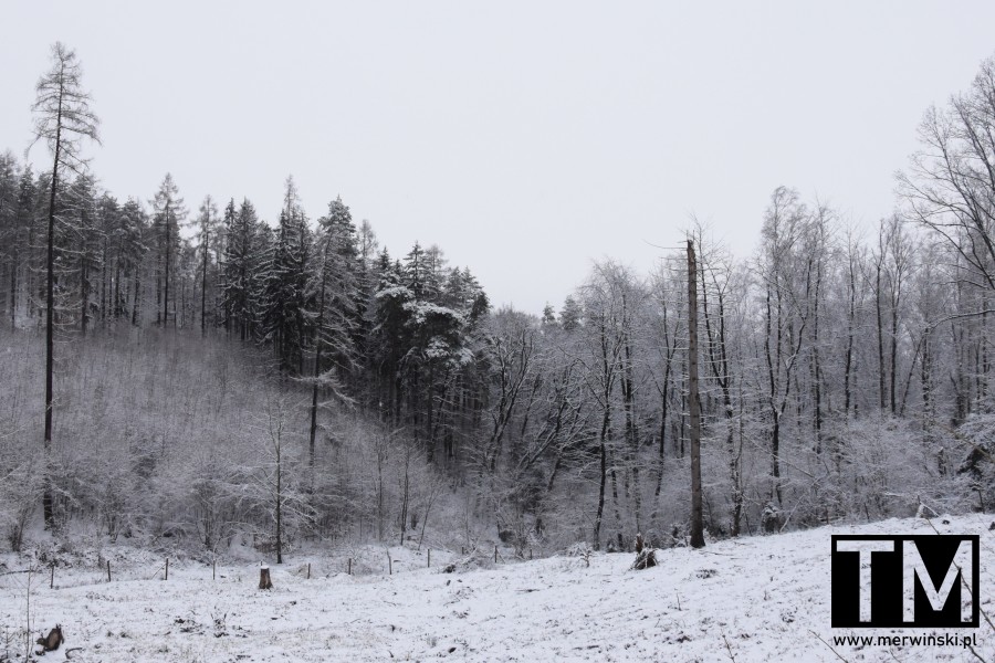 Zima na Dolnym Śląsku