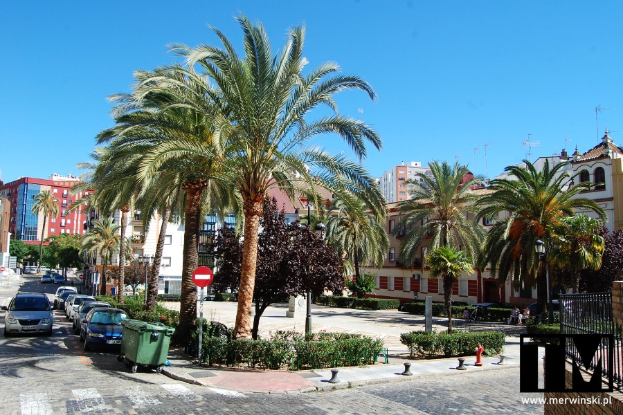 Plac otoczony palmami na terenie Huelvy