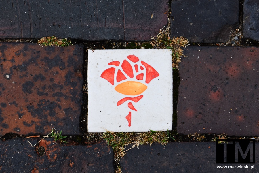 Róża - symbol na szlakach zwiedzania w Hildesheim
