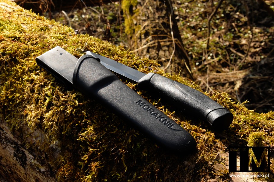 Nóż Morakniv w lesie