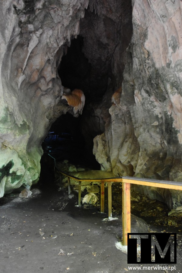 Wejście do jaskini w Los Haitises, Dominikana