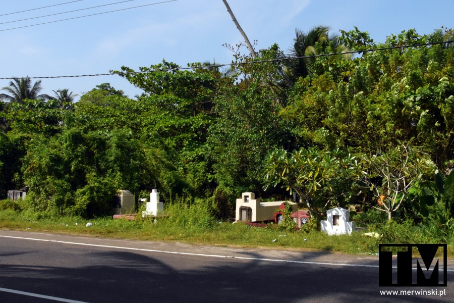Cmentarz przy drodze w Ahungalli (Cejlon)