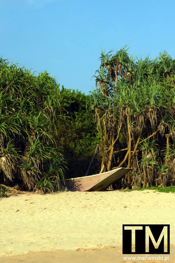 Ahungalla - plaża na Cejlonie