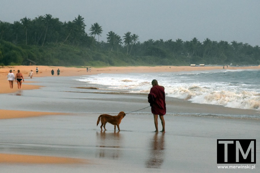 Mnich buddyjski z psem na plaży (Ahungalla, Sri Lanka)