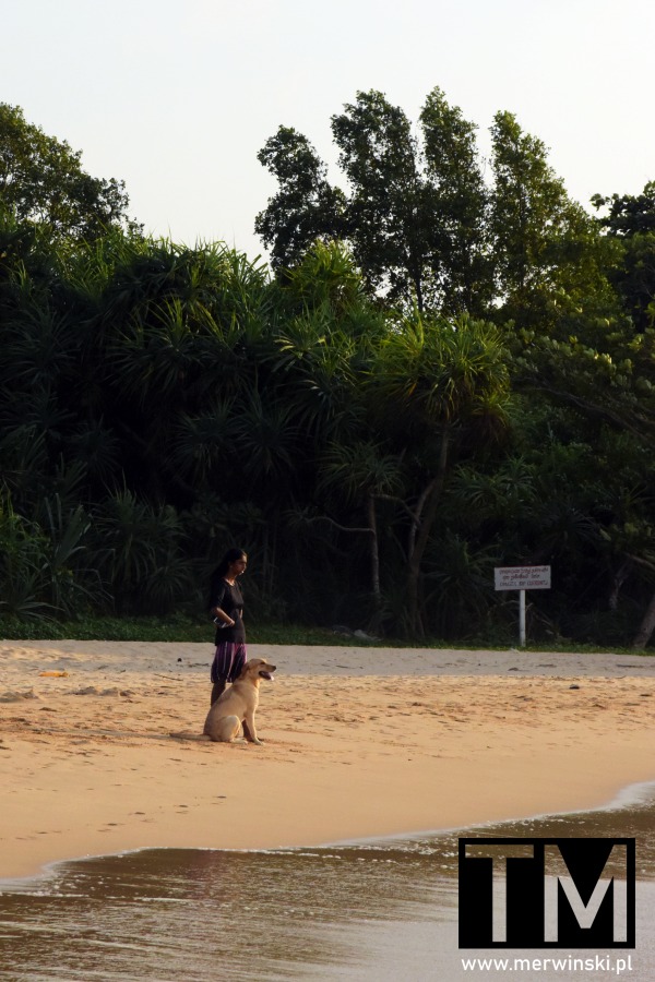 Lankijka z psem na plaży w okolicy Ahungalli (Cejlon)