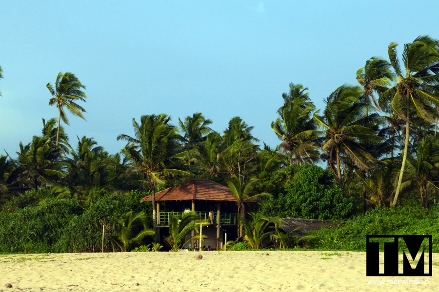 Plaża w Ahungalli (Sri Lanka)