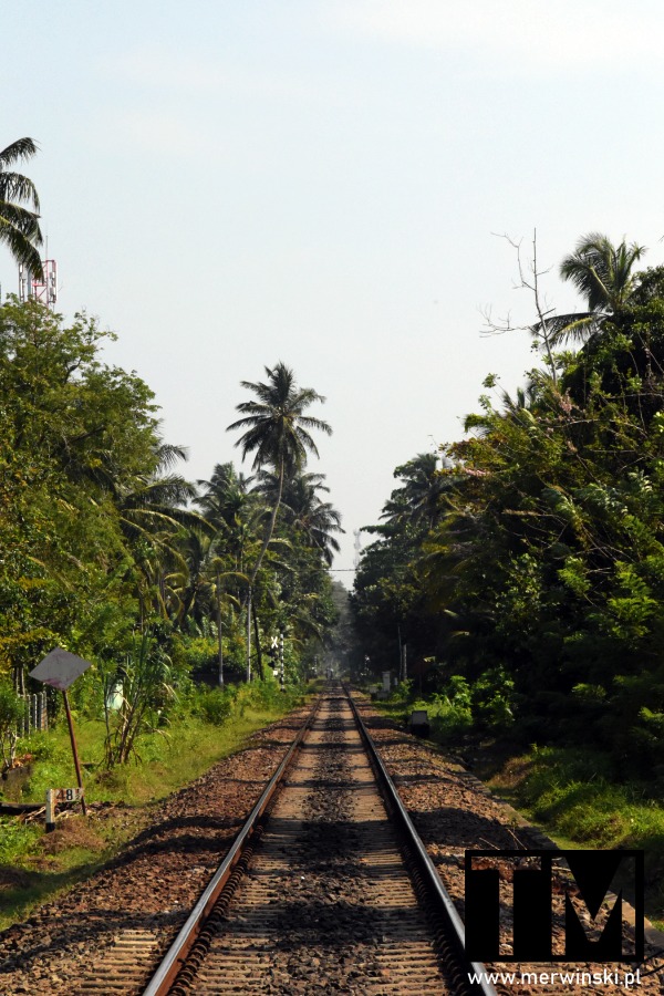 Ahungalla - tory kolejowe w Sri Lance