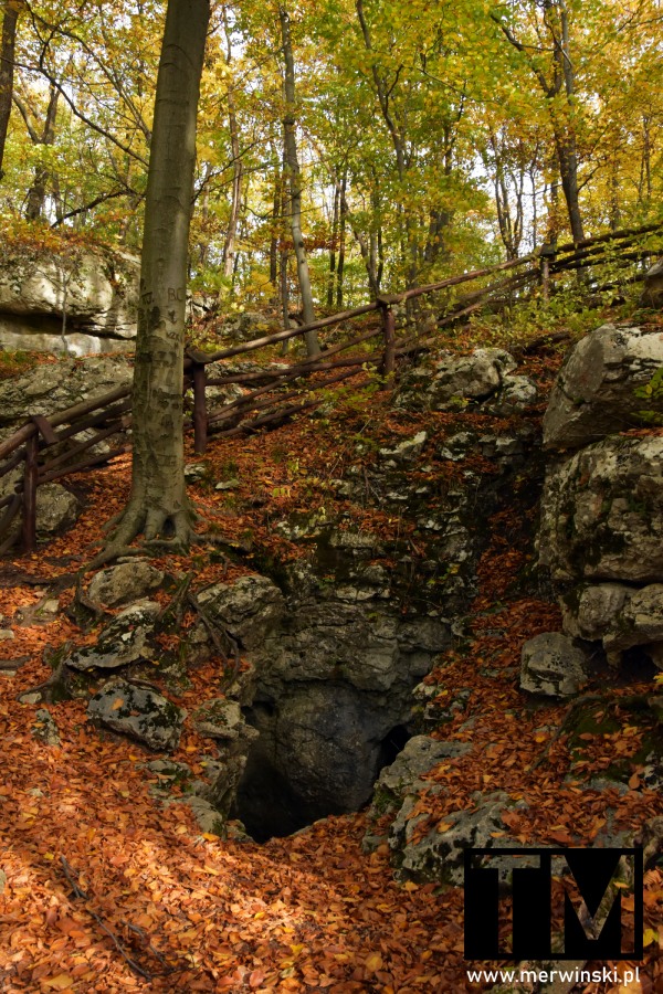 Pionowa jaskinia w Rezerwacie Sokole Góry
