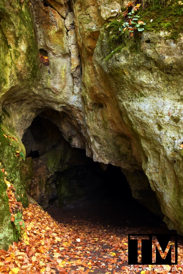 Jaskinia w Rezerwacie Sokole Góry