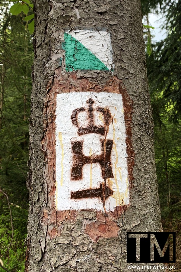 Symbol szlaku Habsburgów w Wiśle
