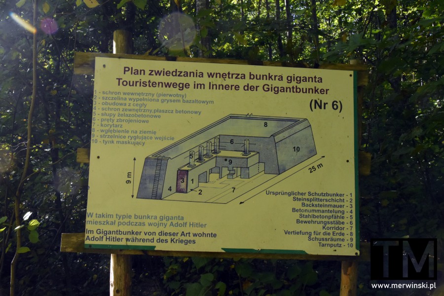 Plan zwiedzania bunkra giganta w Mamerkach