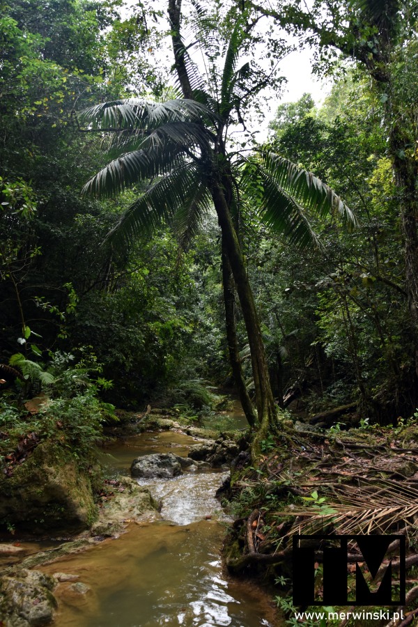 Rzeka w okolicach Salto de Socoa - wodospadu na Dominikanie