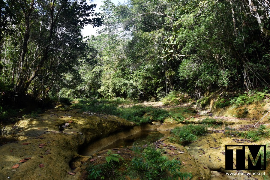 Wyschnięte koryto rzeki przy wodospadzie Salto del 12 (Dominikana)