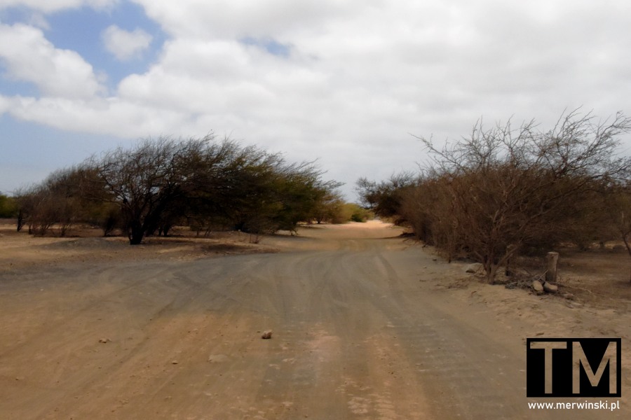 Droga na wyspie Sal w okolicy Terra Boa