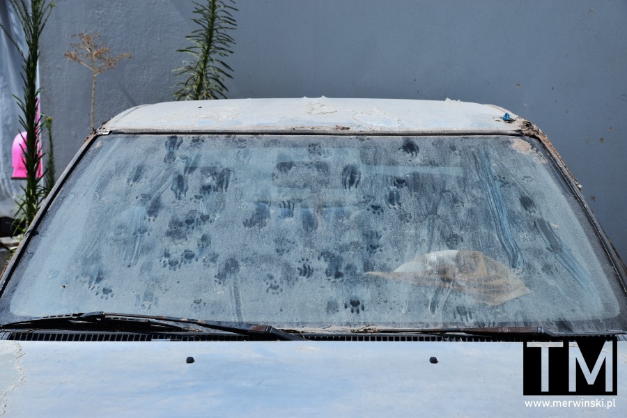 Kocie ślady na szybie samochodu w Kardamenie (Kos, Grecja)