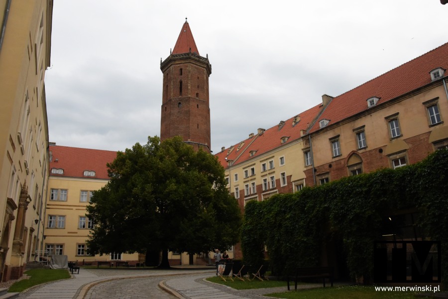 Dziedziniec Zamku Piastowskiego, Legnica