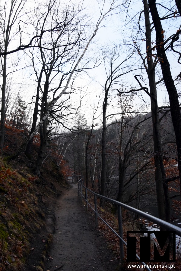 Ścieżka nad Jeziorem Lubachowskim (Jezioro Bystrzyckie w Zagórzu Śląskim)