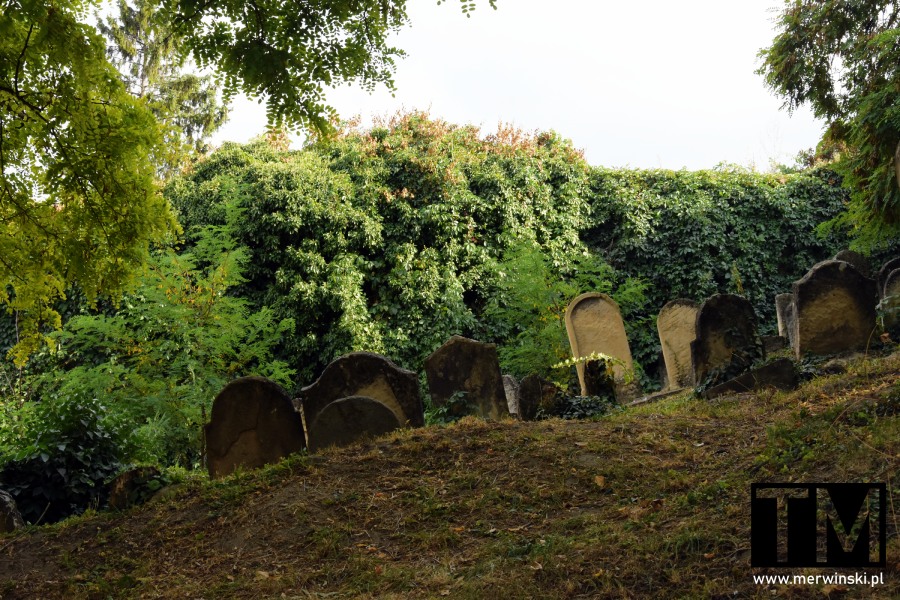 Stary cmentarz żydowski (Skalica, Słowacja)