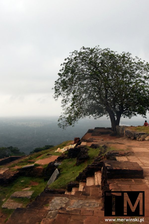 Sigiriya Sri Lanka Twierdza Lwia