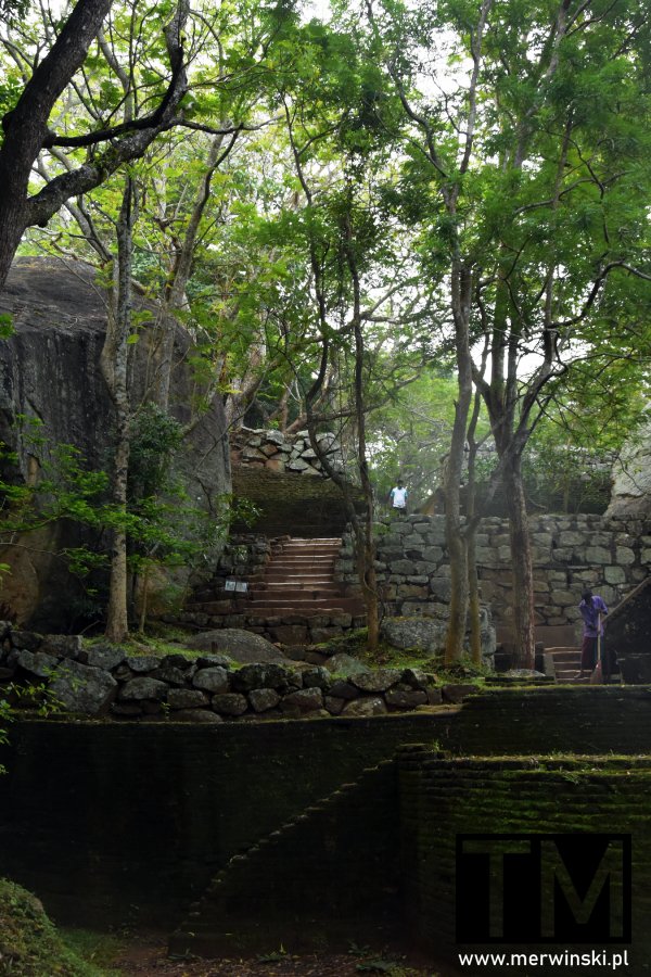 Ogrody pod Lwią Skałą (Sri Lanka)