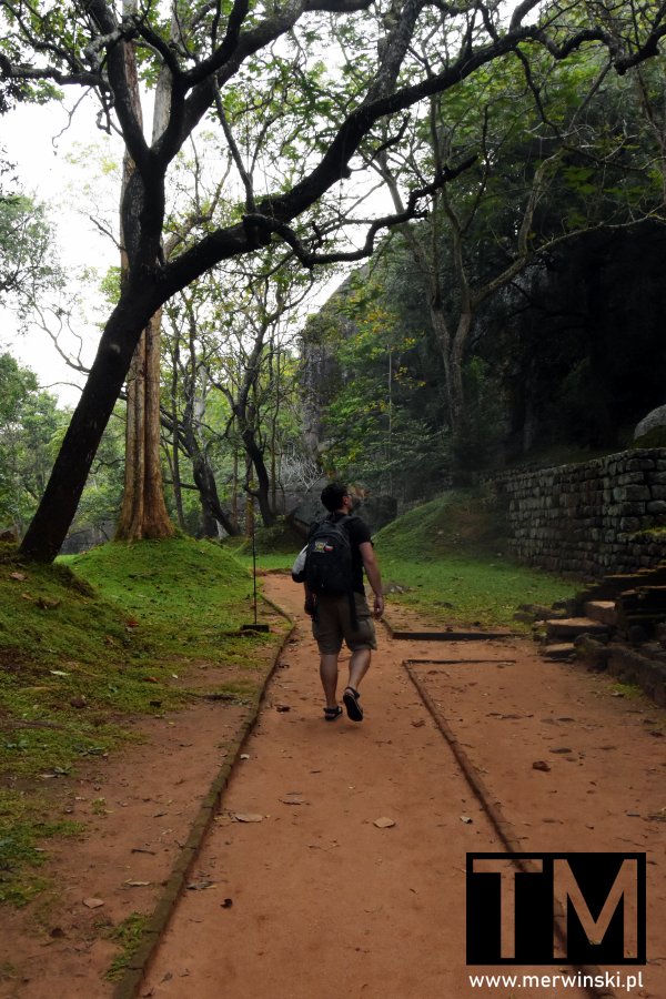 Sigiriya Sri Lanka twierdza lwia - Tomasz Merwiński zwiedza