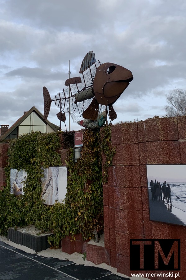 Hel zimą - fokarium nad Bałtykiem