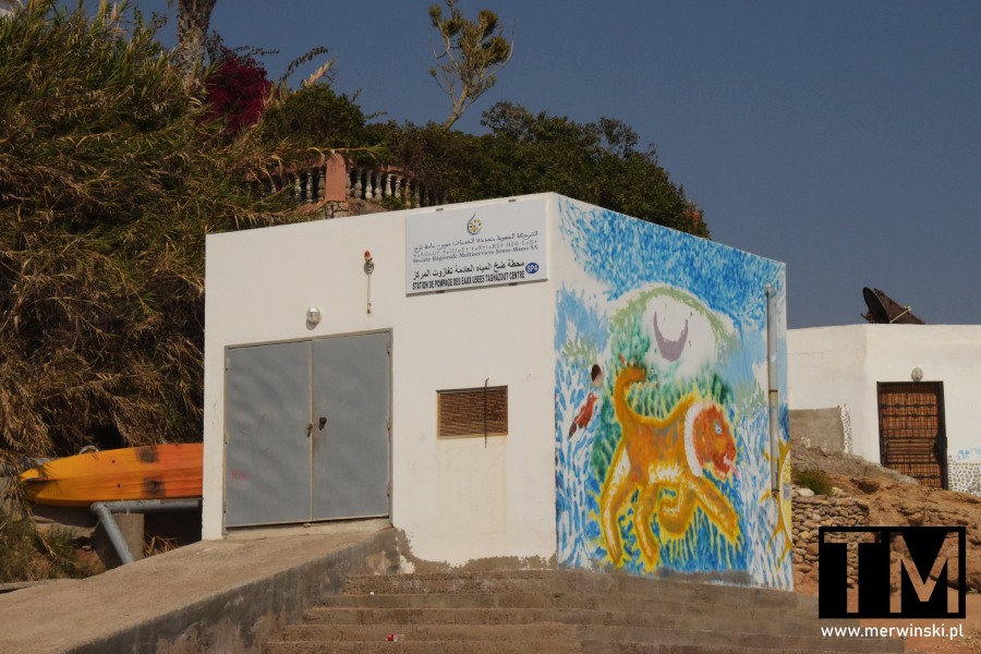 Mural z lwem w Taghazout