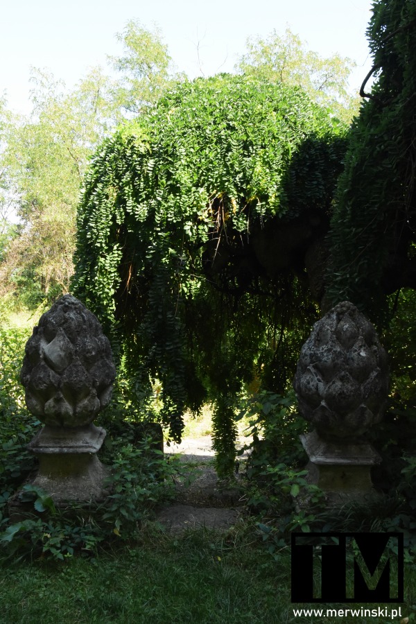 Ogród zamkowy w pałacu Jaroslavice (Morawy, Czechy)
