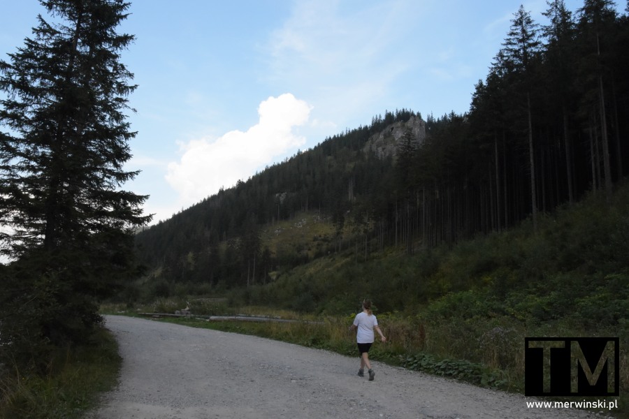 Szlak w Dolinie Chochołowskiej (Tatry)