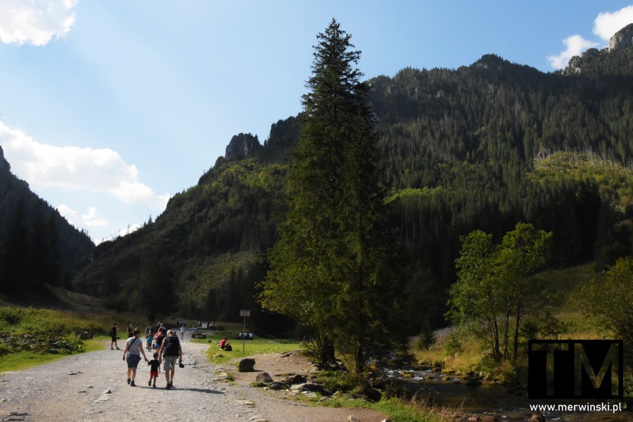 Turyści w Dolinie Kościeliskiej (Tatry, Polska)