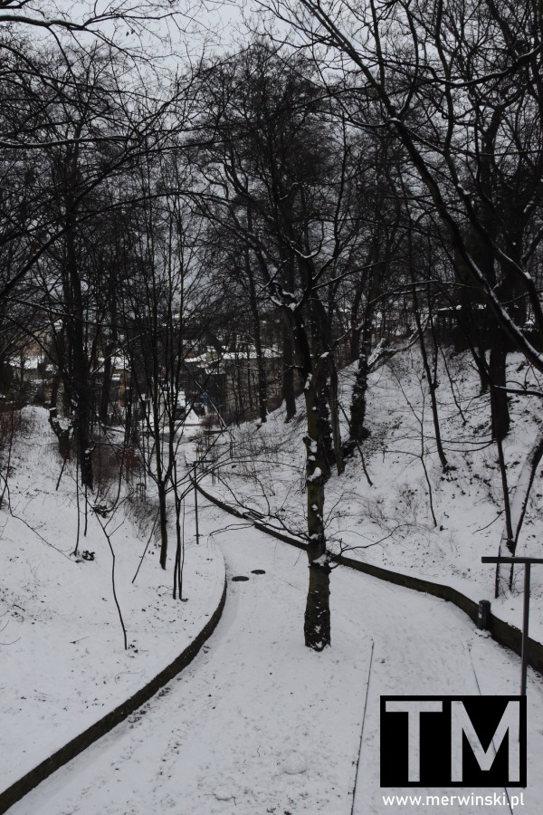 Wąwóz im. Stefana Hermana w Sopocie zimą