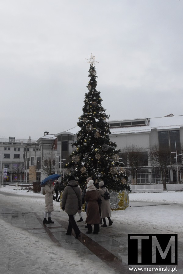 Choinka w Sopocie zimą