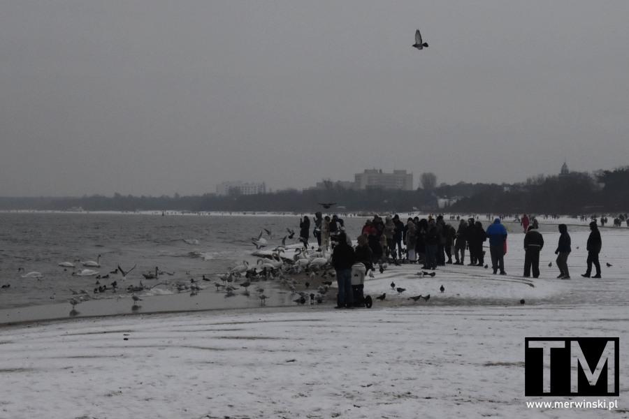 Sopot zimą i jego plaża pokryta śniegiem