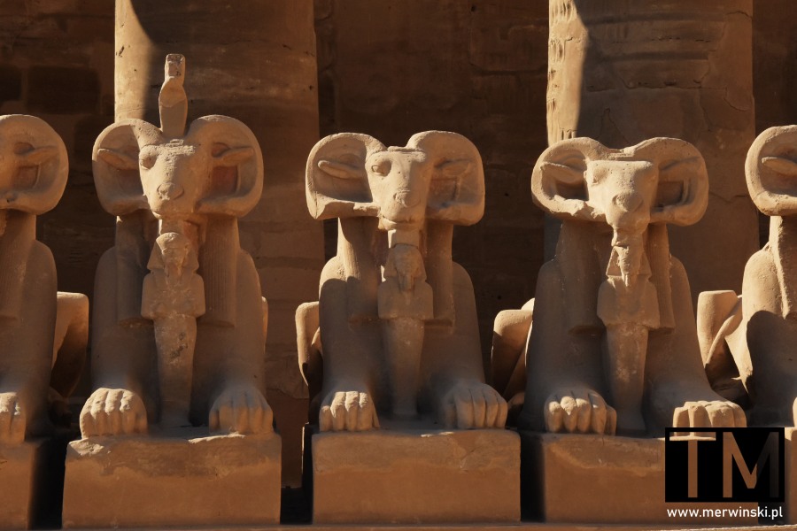 Aleja Baranów w Karnaku (Egipt)
