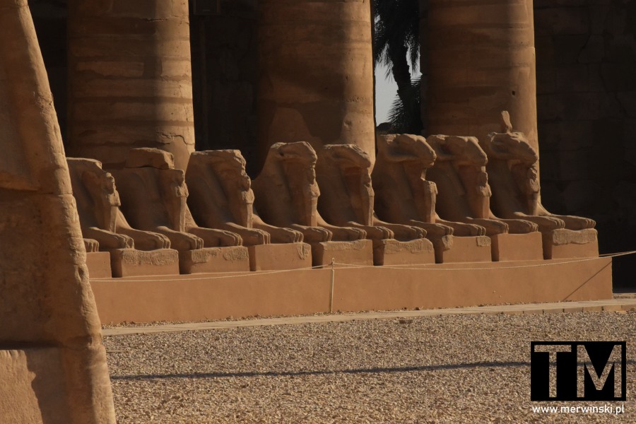 Karnak Amon i jego święty symbol - barany