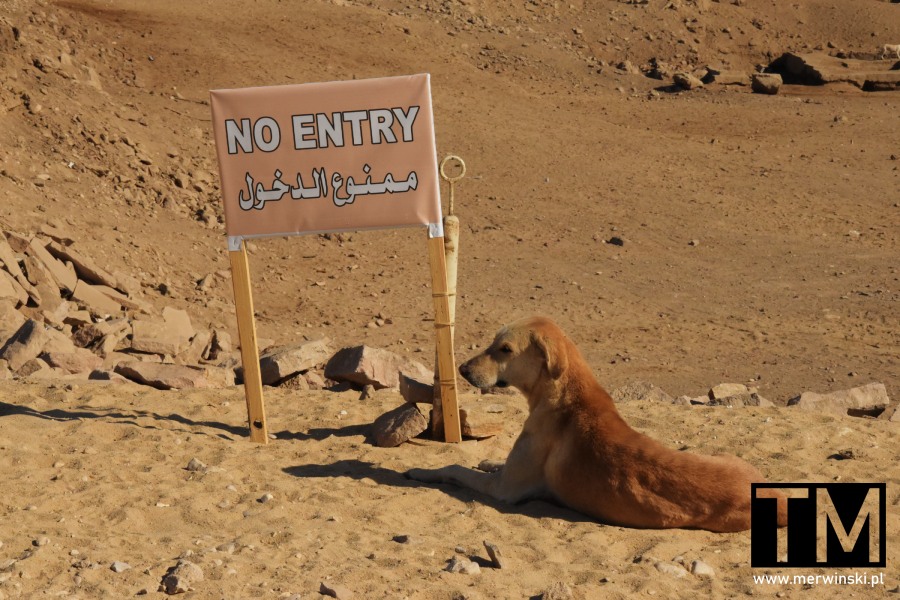 Pies i tabliczka No Entry (Zespół świątyń Karnak Egipt)