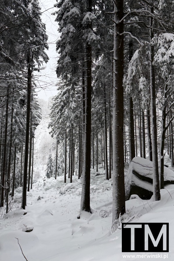 Zima w czeskich Izerach