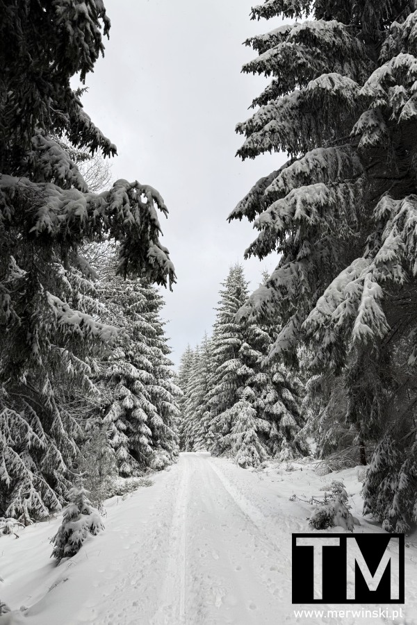 Czeskie Izery niedaleko miejscowości Fojtka