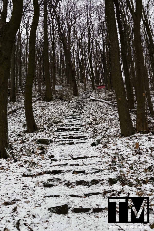 Ostrzyca Proboszczowicka wulkan Śląska Fudżijama