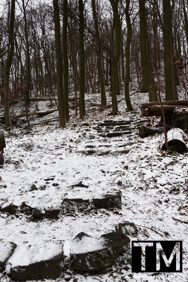Wulkan Ostrzyca (Rezerwat Przyrody Ostrzyca Proboszczowicka, Dolny Śląsk)
