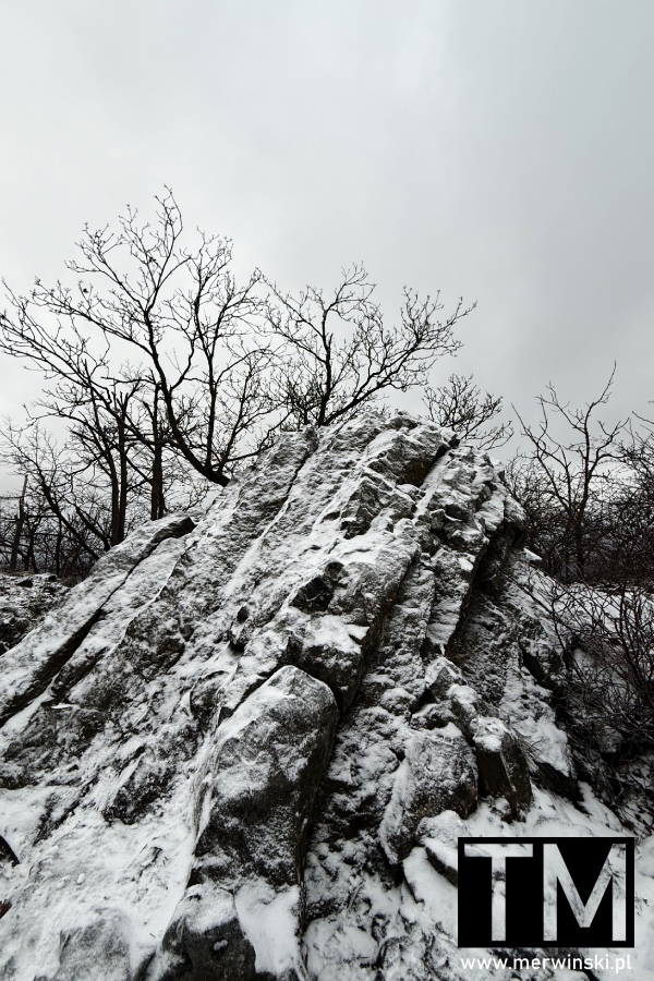 Wulkan Ostrzyca Proboszczowicka Rezerwat Przyrody