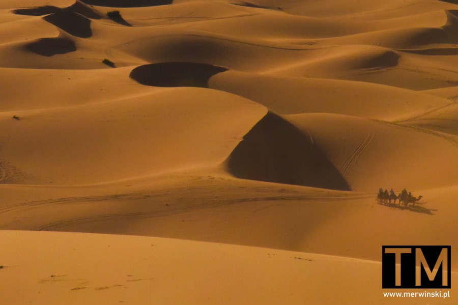 Sahara w Maroko, czy raczej Sahara w Maroku - Erg Chebbi i wielbłądy