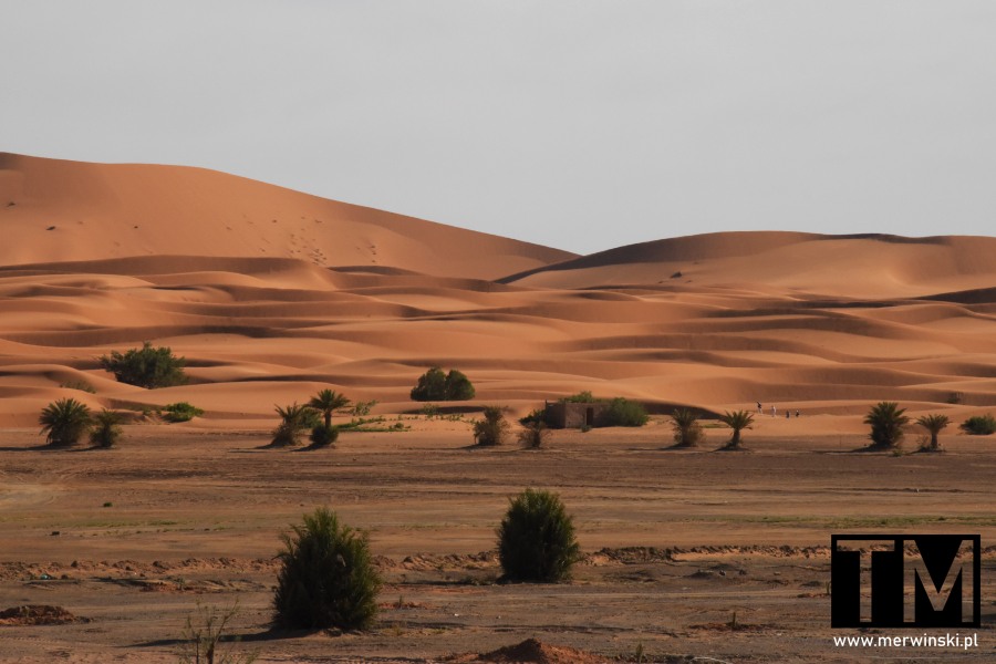 Maroko Sahara Erg Chebbi