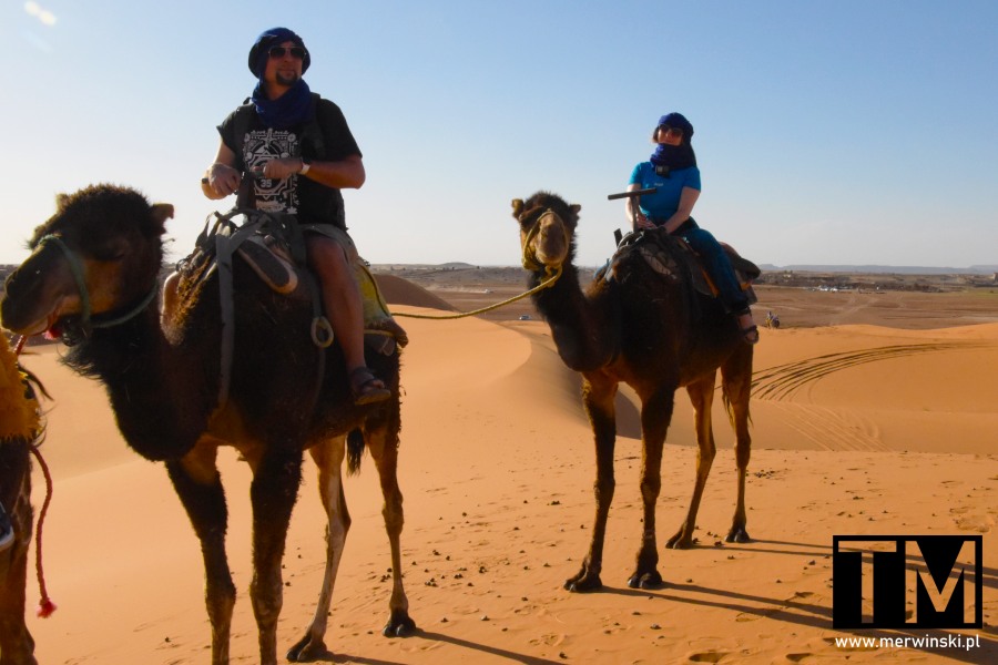Tomasz Merwiński na wielbłądzie na Saharze w Maroku