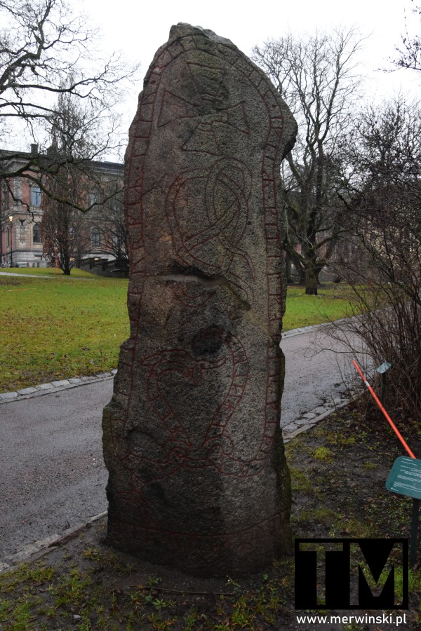 Uppsala zwiedzanie: kamień runiczny obok Uniwersytetu Uppsala